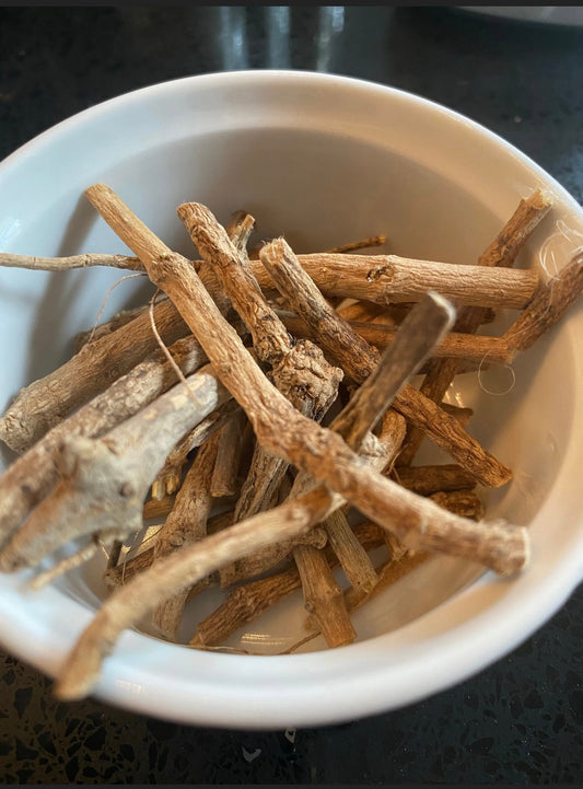 Silene Capensis or African Dream Herb