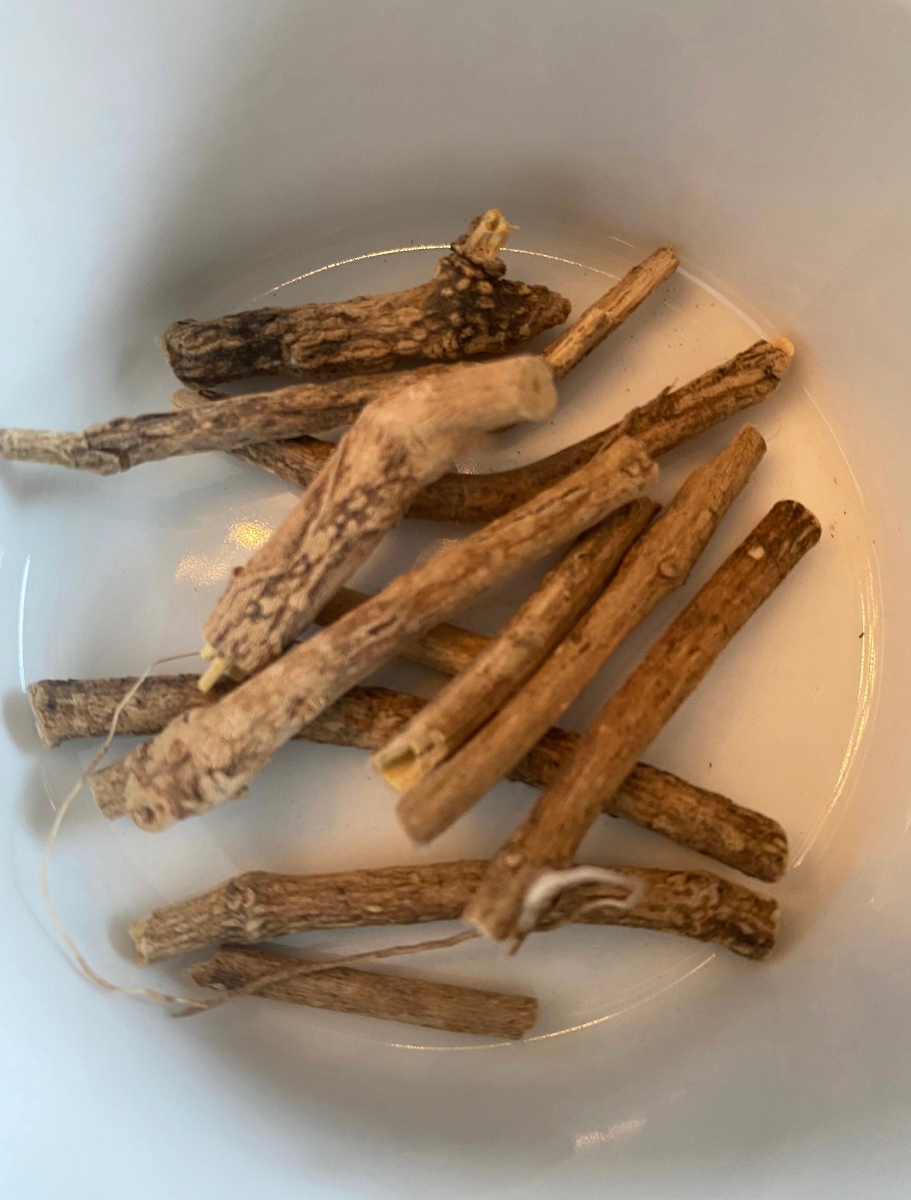 Silene Capensis or African Dream Herb