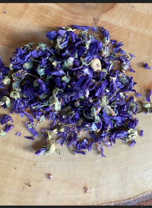 Dried Blue Mallow Flower