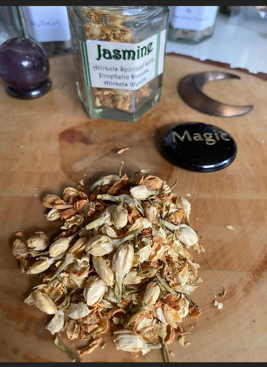 dried Jasmine