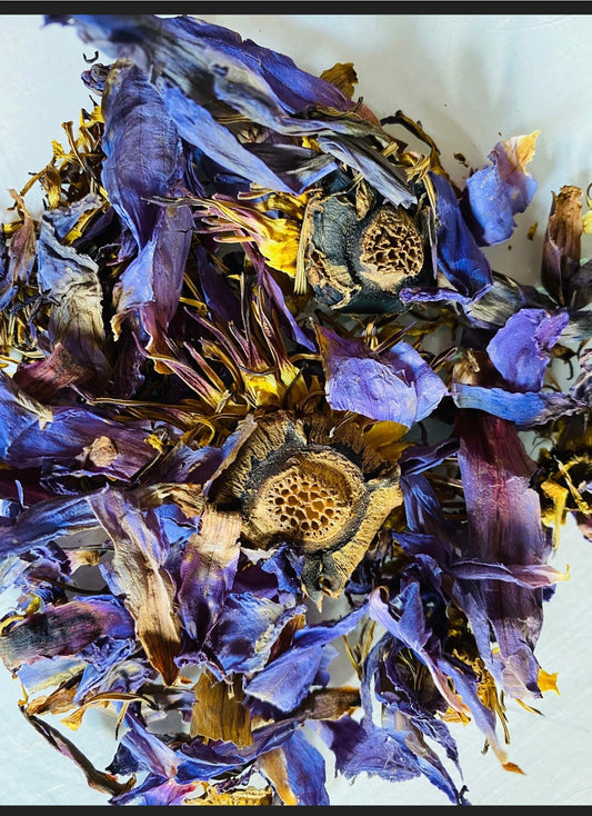Dried Blue Lotus Flower