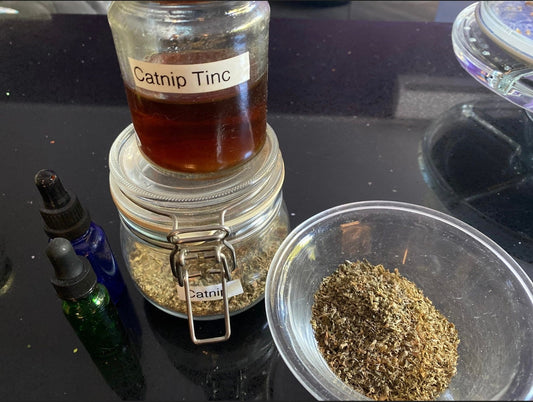 Catnip Tincture