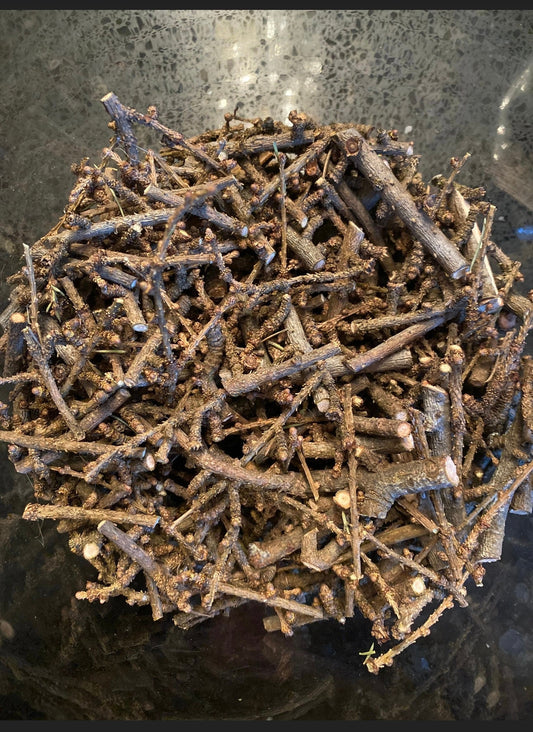 Cedarwood Atlas Twigs