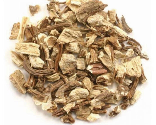 Dried Angelica Root