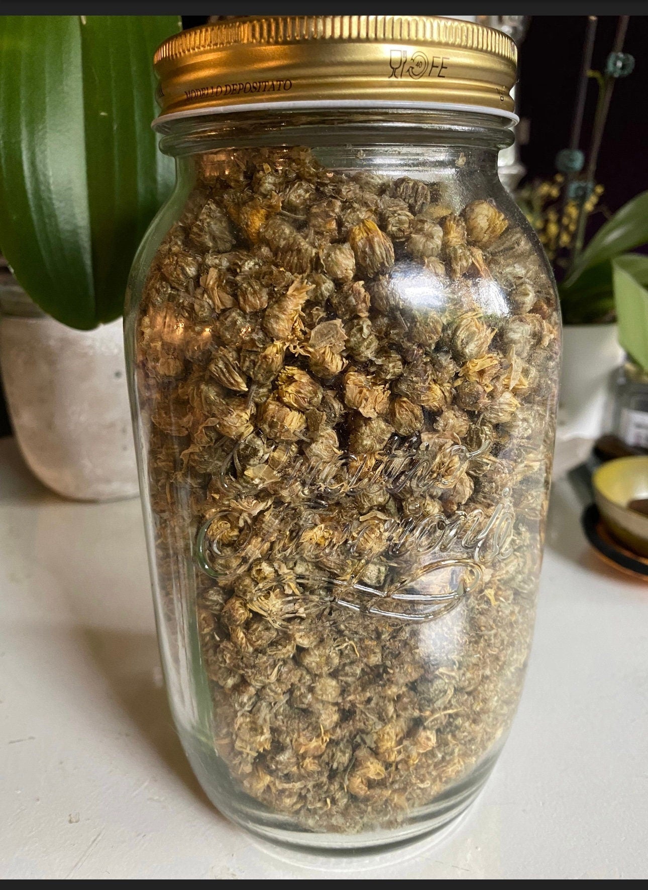 Dried Chrysanthemum Flowers